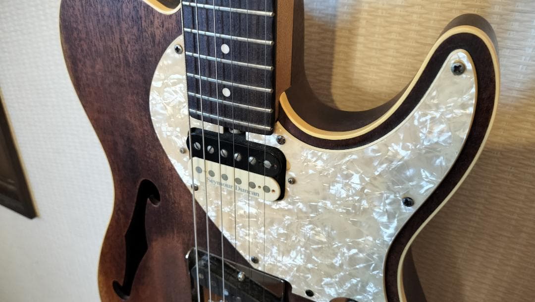 【Bacchus】T-HOLLOW テレキャスター HandmadeSeries