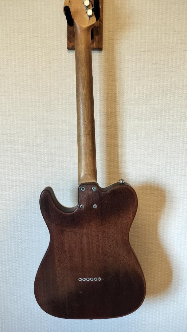 【Bacchus】T-HOLLOW テレキャスター HandmadeSeries