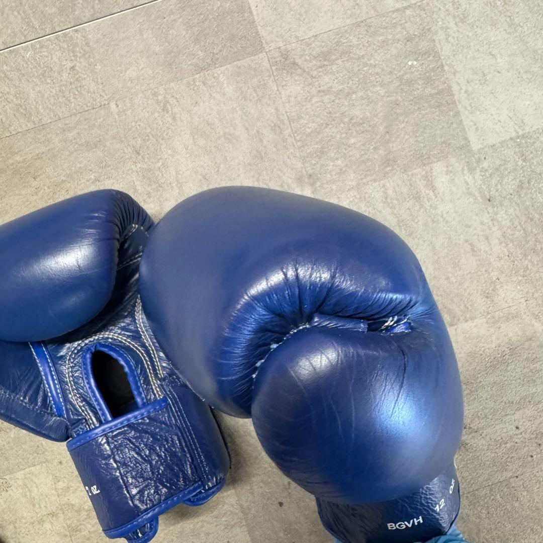 WINDY ボクシンググローブ BGVH 12 oz 青