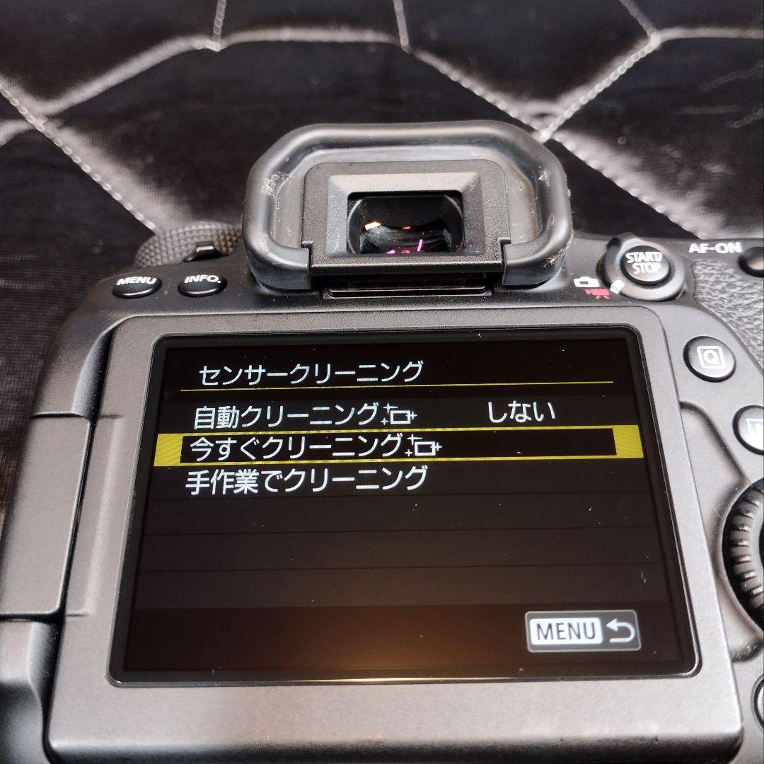 Canon EOS 80D ボディ 訳あり 動作確認済