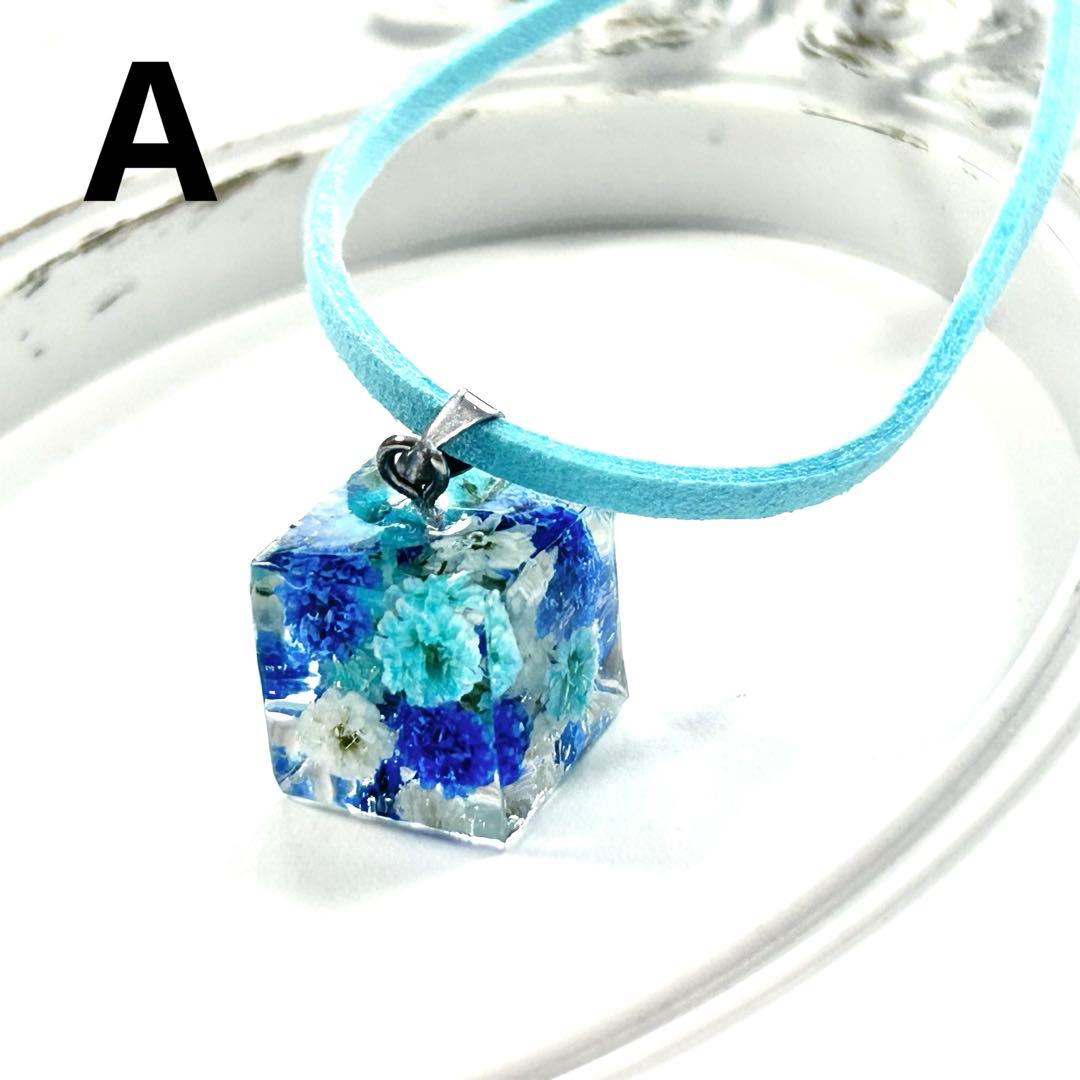 ブチ子と源☺︎☻