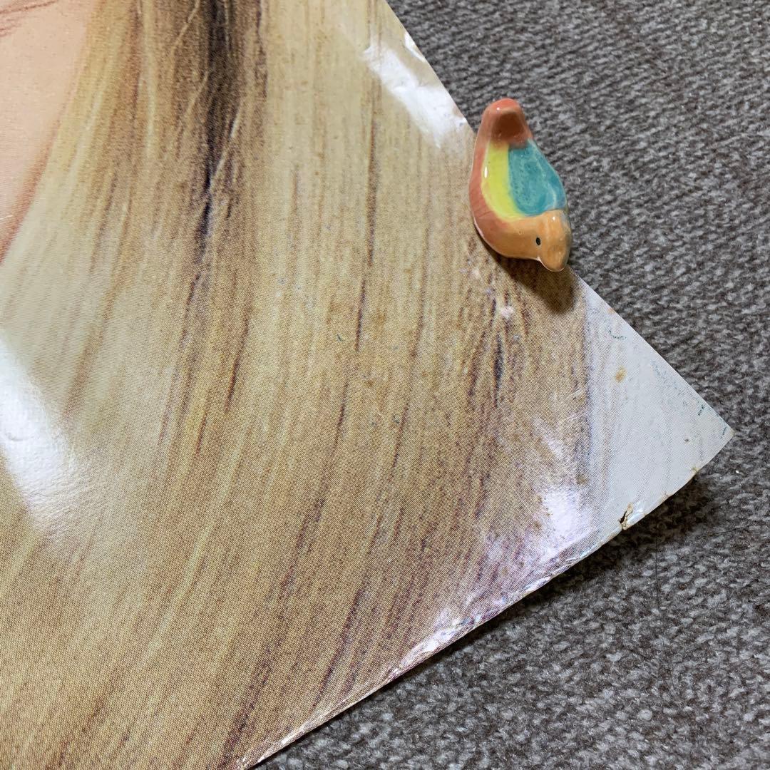 カルバンクライン　ケイトモス　エドワードファーロング　特大ポスター