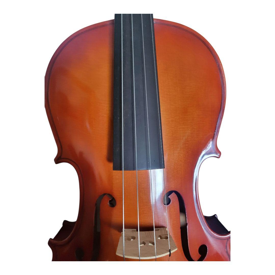 カルロジョルダーノ　ビオラ　ケース付き