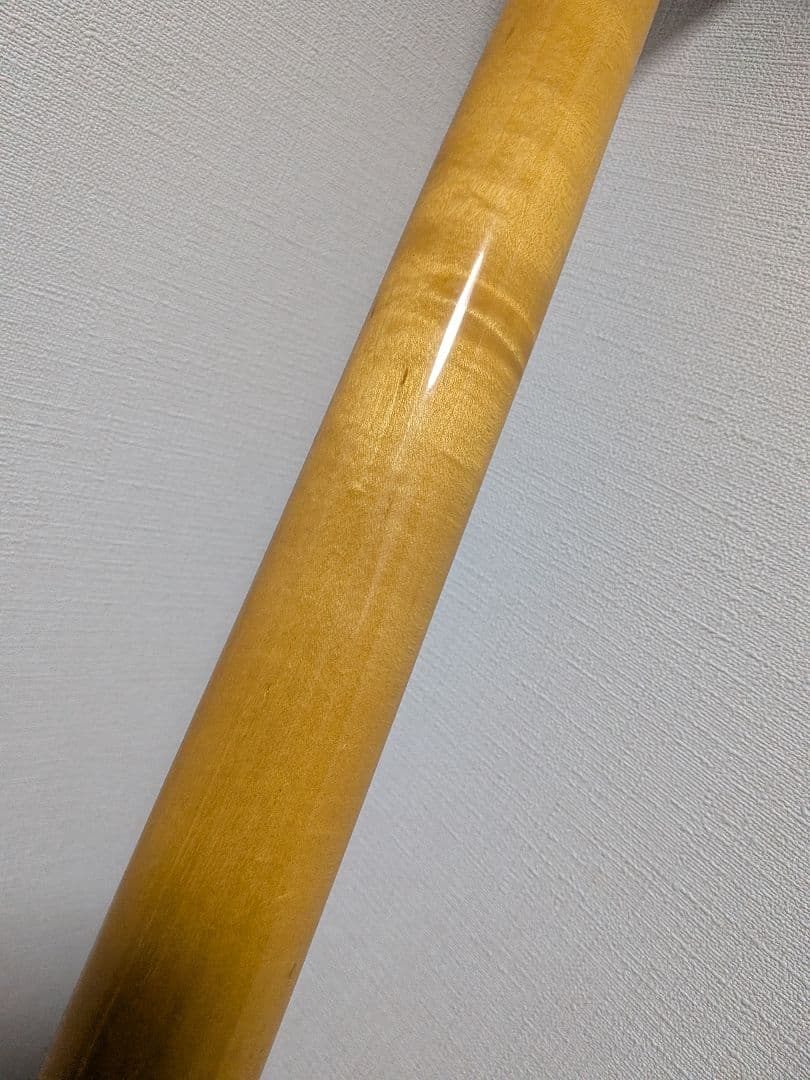 Fernandes Limited Edition　ソフトケース新品弦付きます