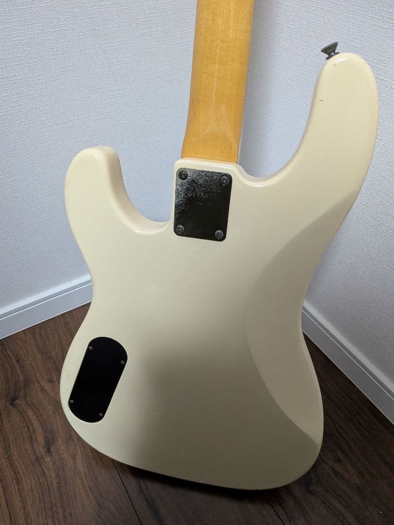 Fernandes Limited Edition　ソフトケース新品弦付きます