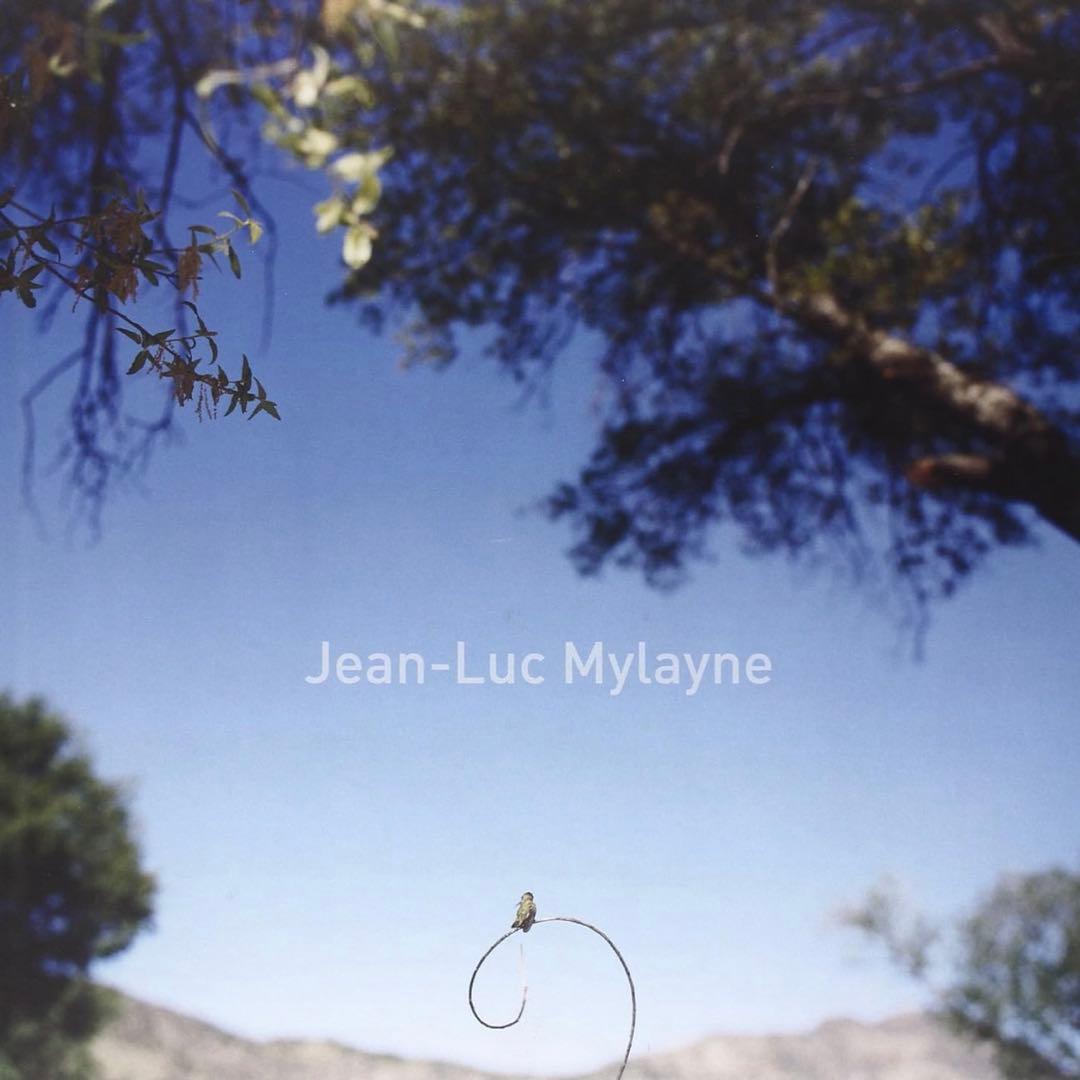希少 Jean Luc Mylayne ジャン＝リュック・ミレーヌ 野鳥 写真集