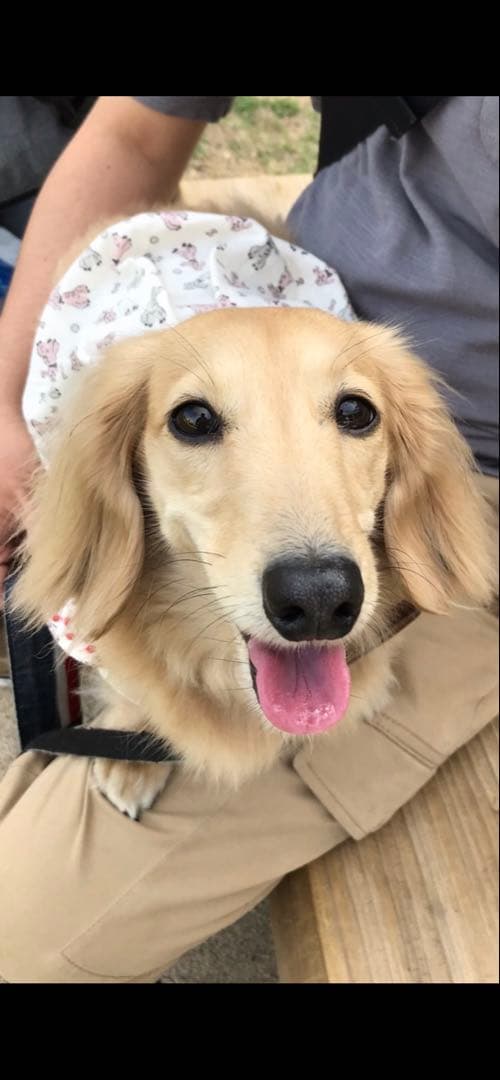 オーダー見本画像　※購入しないでください！