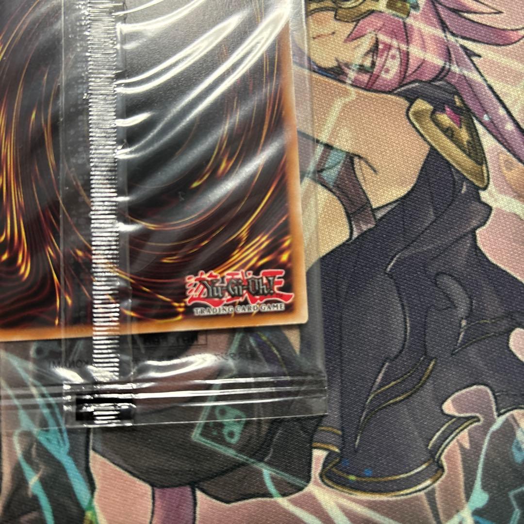 日本選手権2025 2期 優勝プロモ