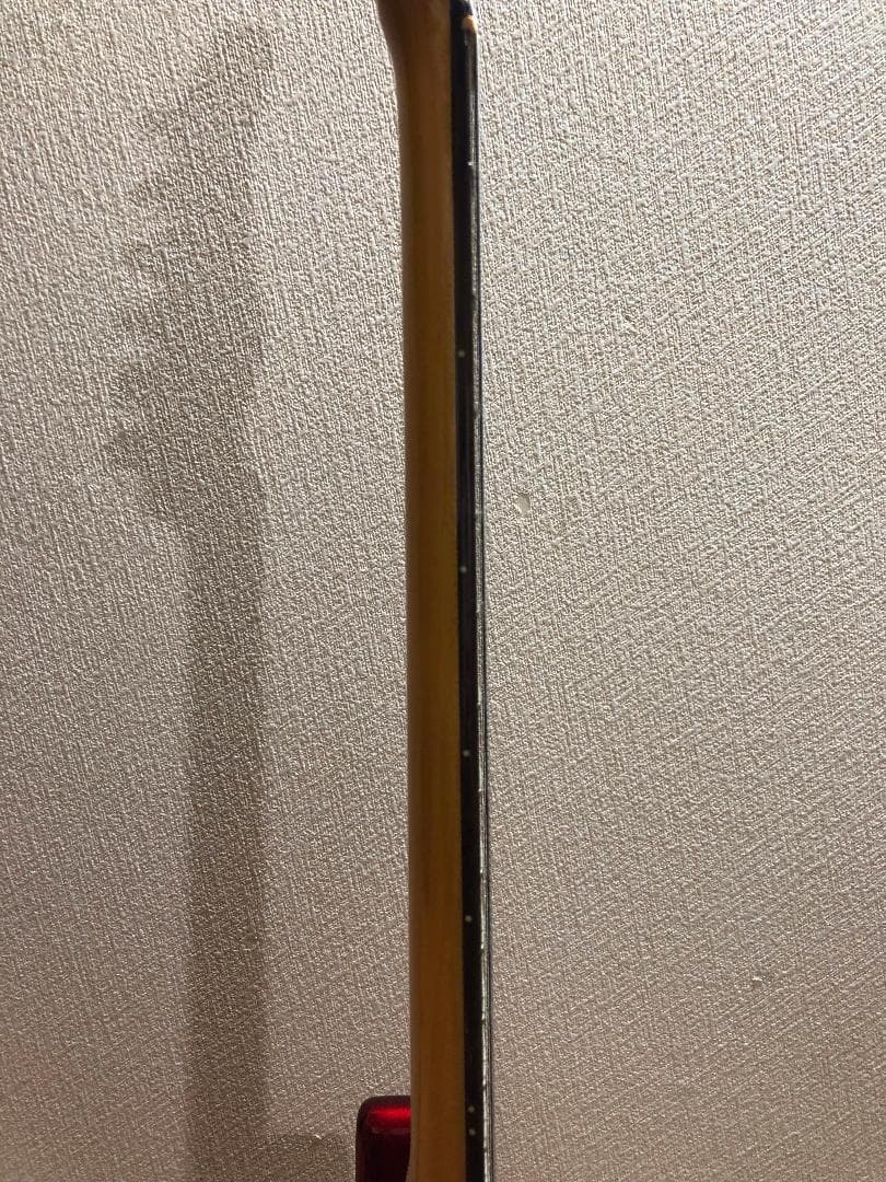 Bacchus Universe Series ストラトキャスタータイプ