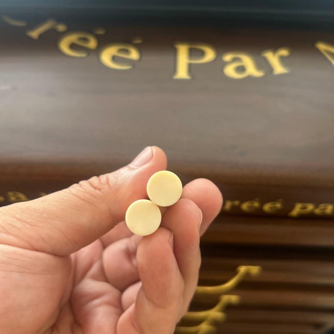 シャ　鯨歯　印材