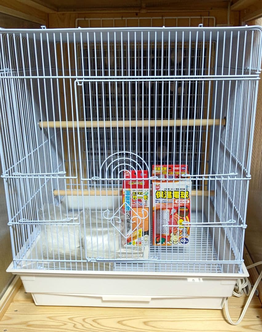 クオリス465 オカメインコ