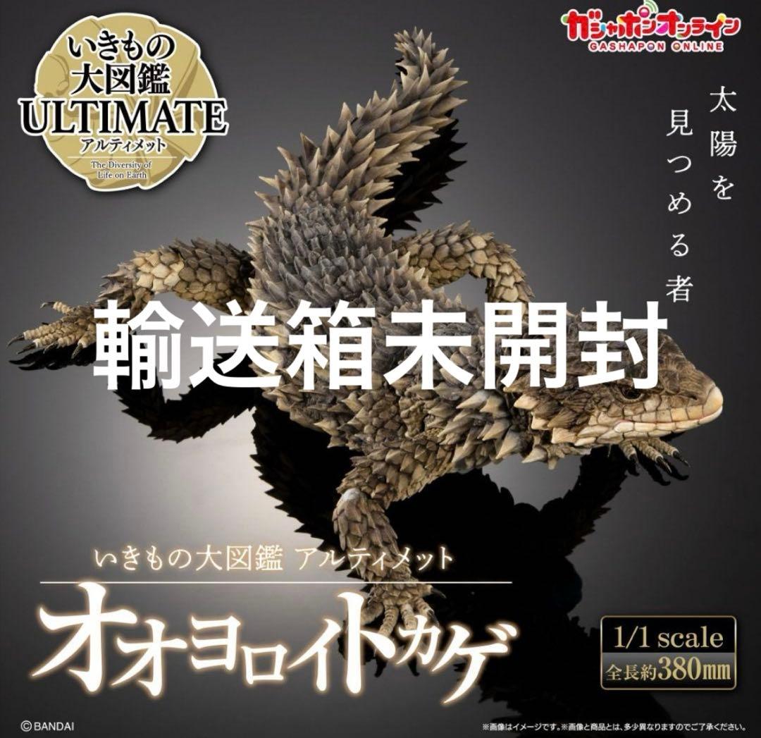 輸送箱未開封品】 いきもの大図鑑アルティメット ▪︎ オオヨロイトカゲ