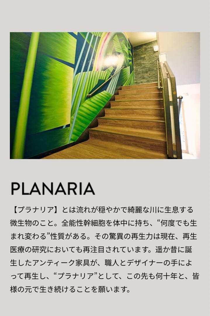 超激レア‼️ ミッドセンチュリーG-PLAN ヴィンテージテーブル