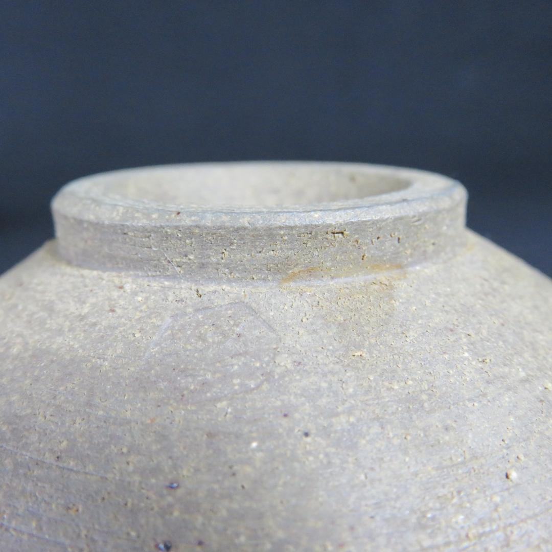 平茶碗 茶碗 伎 在銘 木箱 共箱 植物 茶道具 抹茶碗 茶器