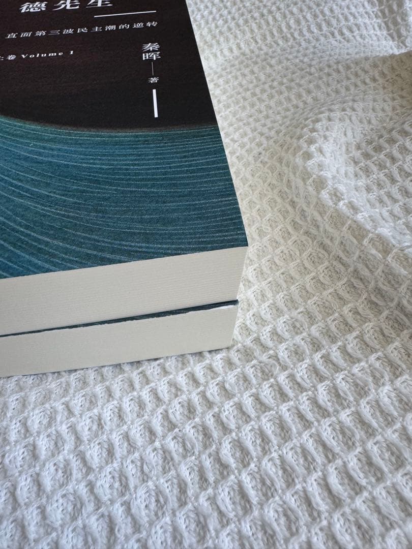 B拯救德先生（上下册）秦晖 鹿津出版社