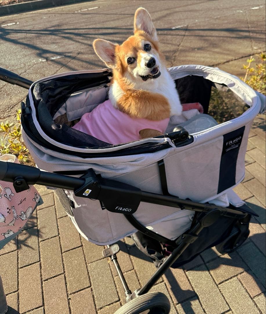 フィカゴー　アジャイル2 ペットカート グレー