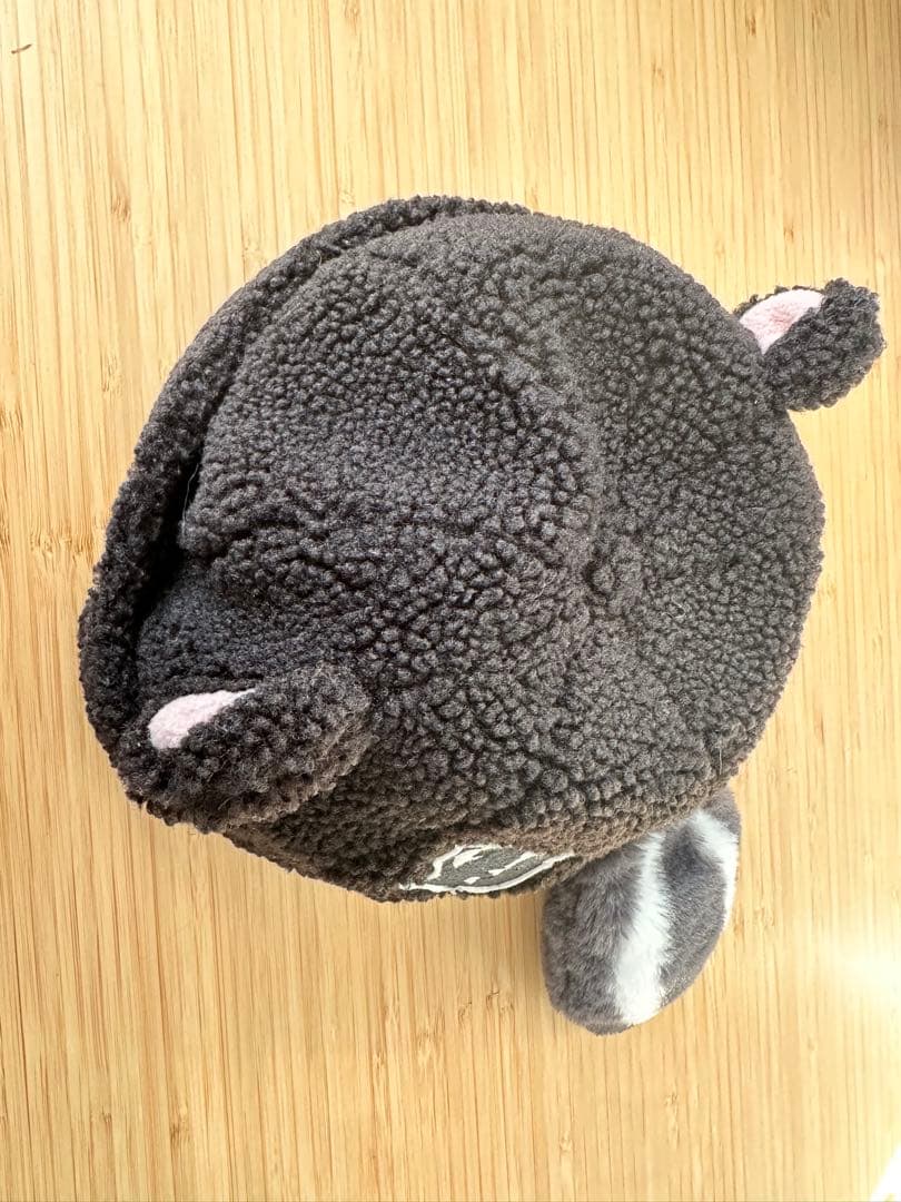 ファンタジースプリングス　ファンキャップ ロストキッズ　５点セット