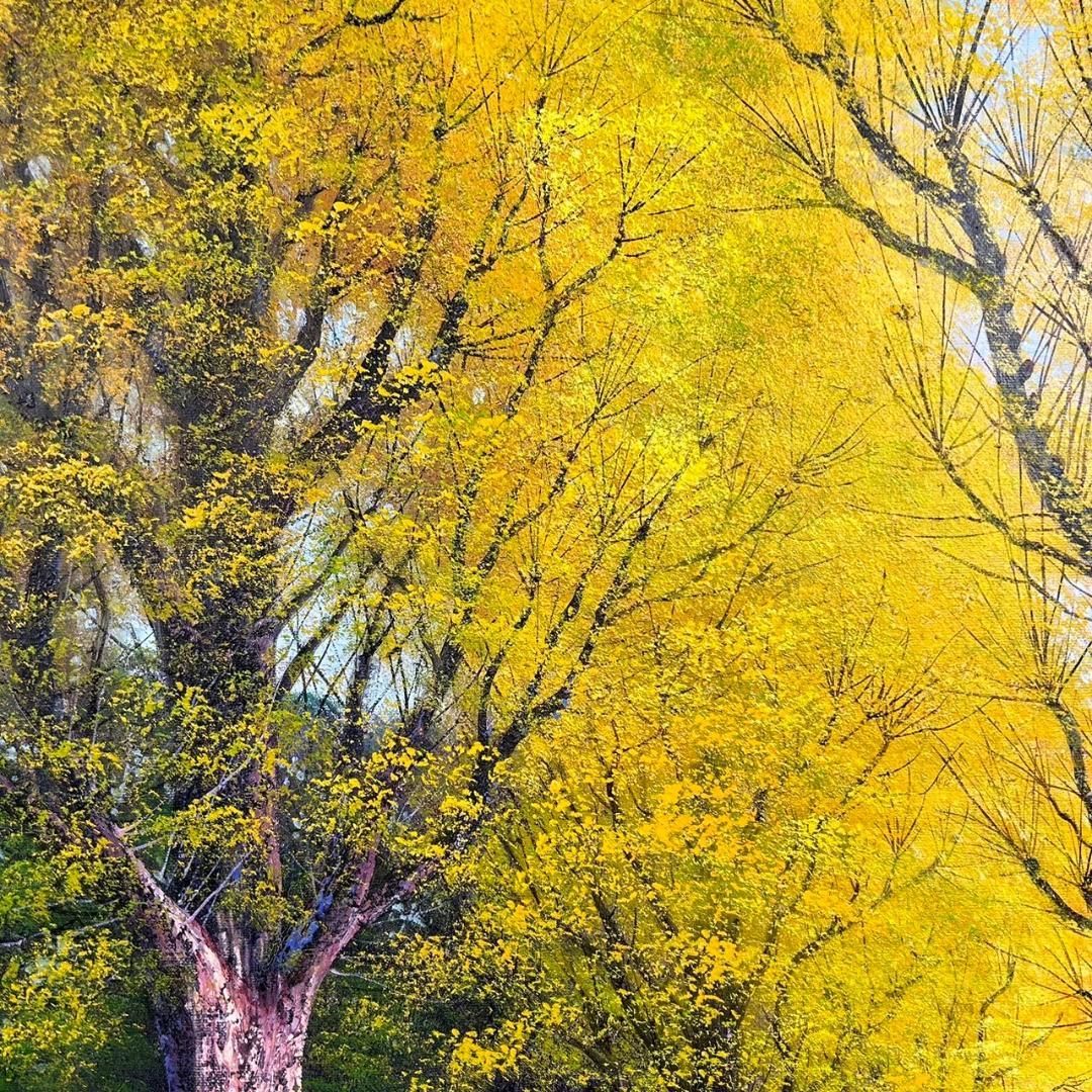 美品 寺井孝「いちょう並木」油彩画 油絵 F10 豪華額装 現美展二科展