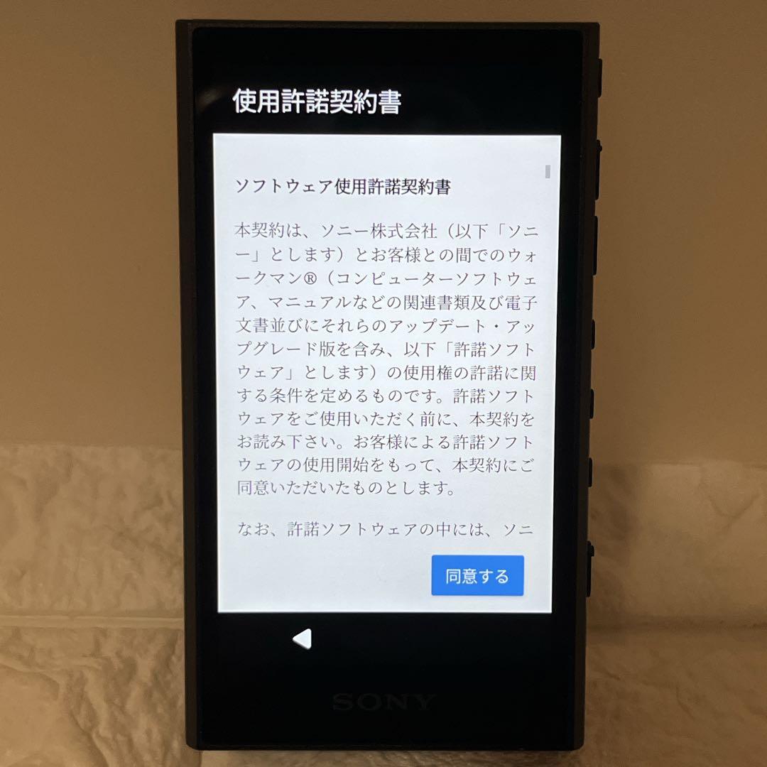 SONY ウォークマン NW-A306 デジタルオーディオプレーヤー
