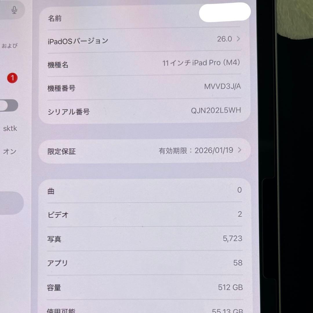 Apple iPad Pro M4 11インチ 512GB 非純正ペン付