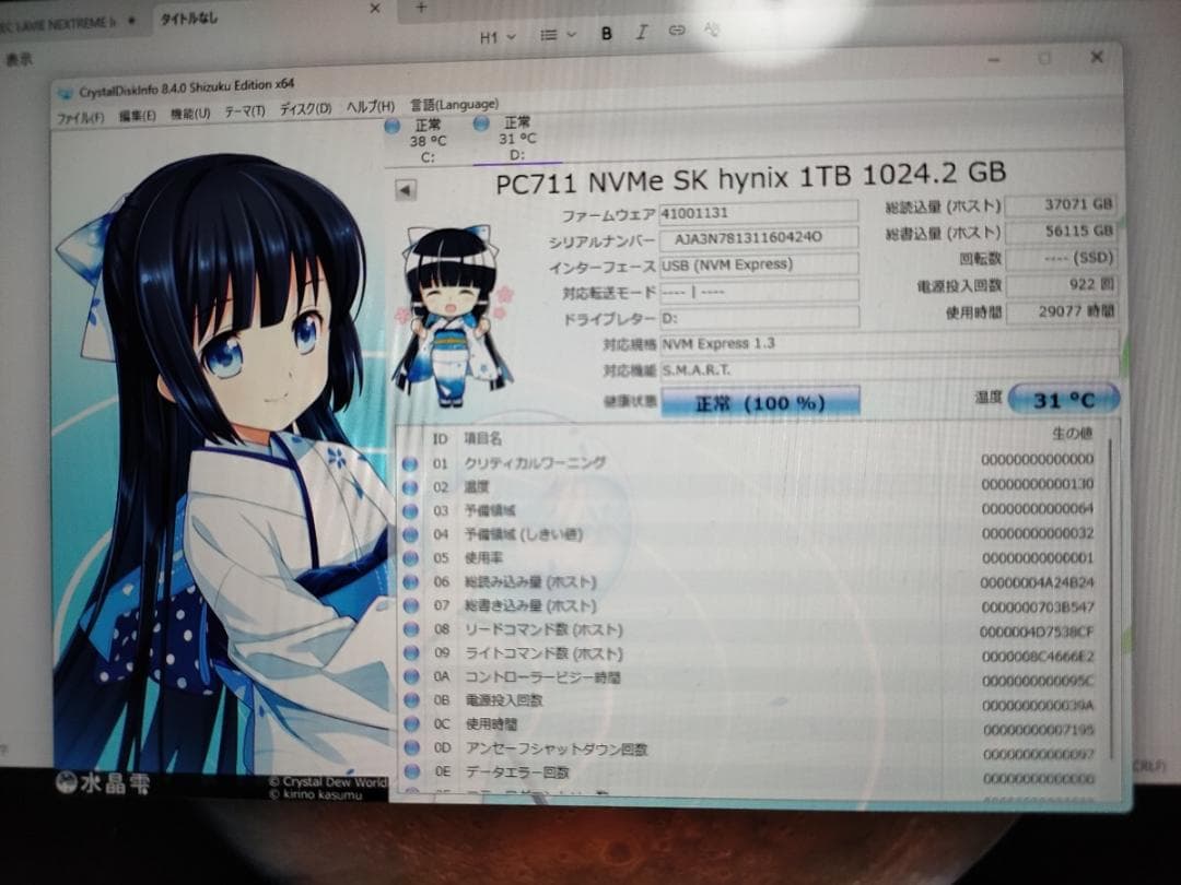 送料無料 SK hynix NVMe 2280 SSD 1TB