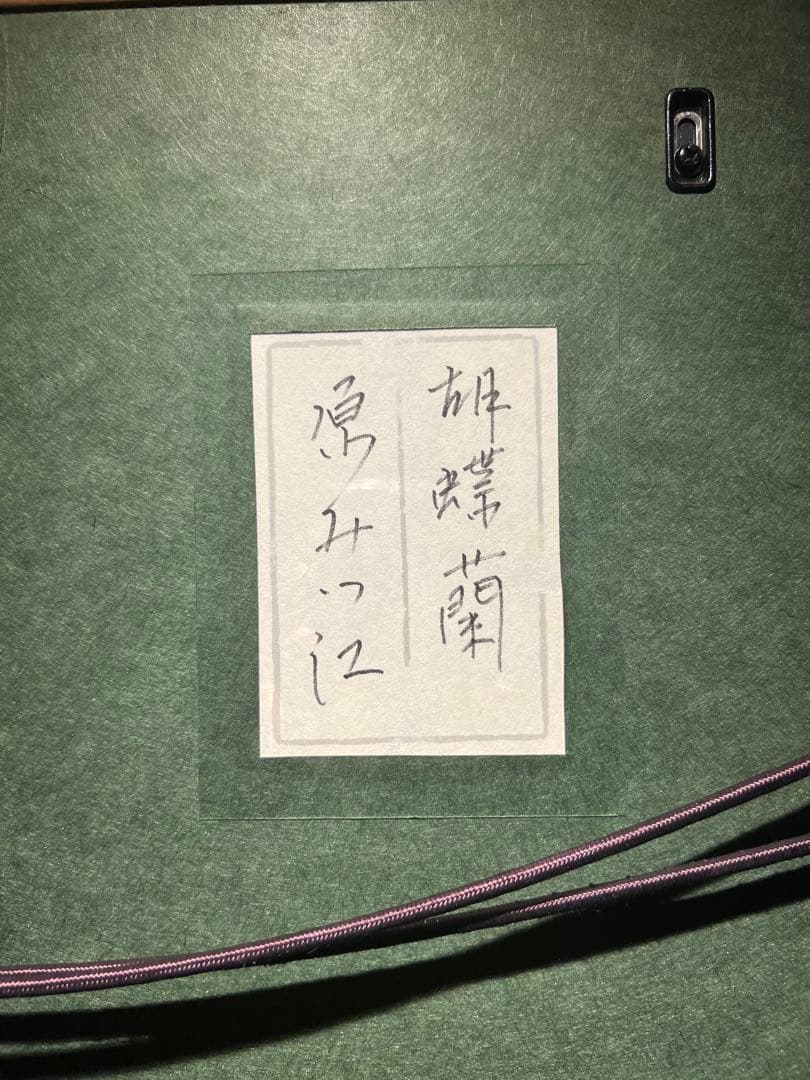 美品　原みつ江　【胡蝶蘭】　肉筆水彩画　印あり　タトゥー箱