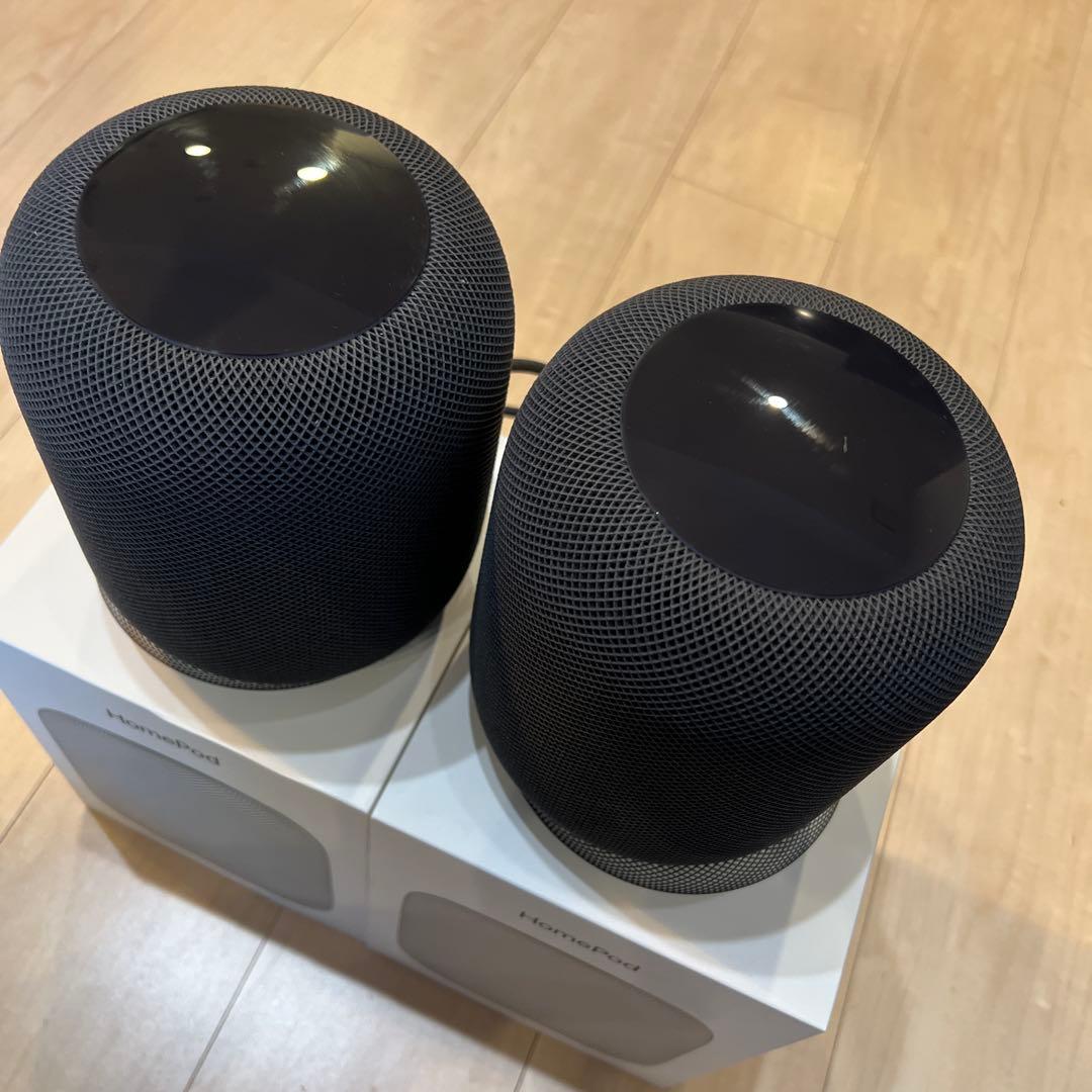 Apple Pod ブラック 2個セット
