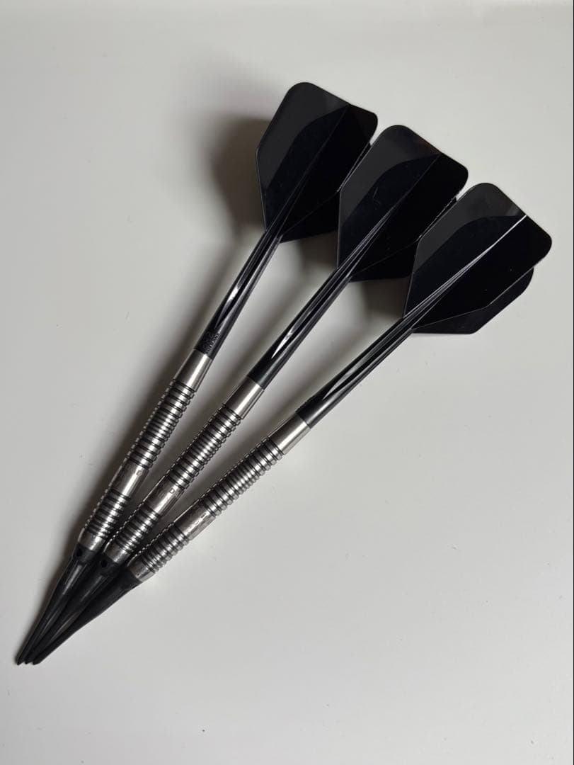 トリニダード【レイジー】【エスダーツ限定版】セッティングセット