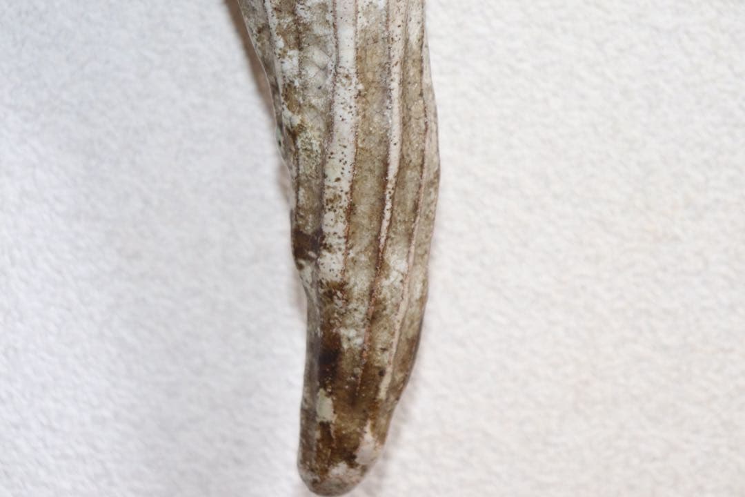 江戸中期　古萩　竹の子掛け花入　壁がけ　茶道具　送料込み250901