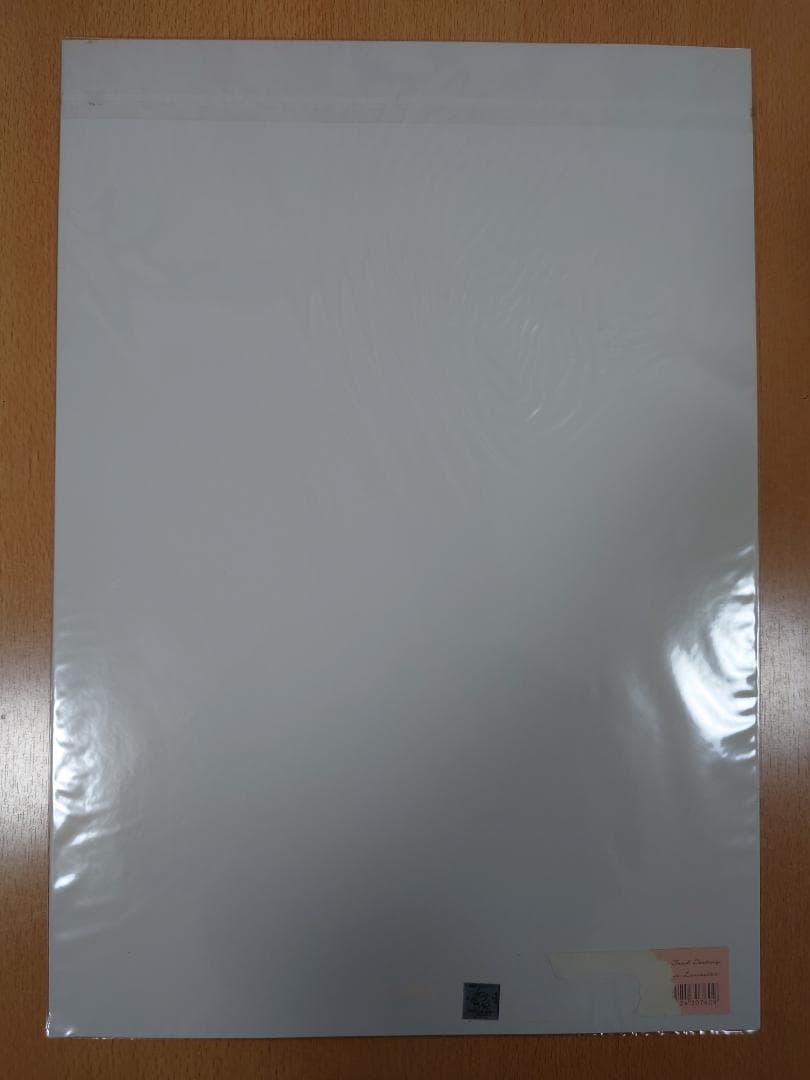 機動戦士ガンダムSEED DESTINY ミニポスター 5枚セット