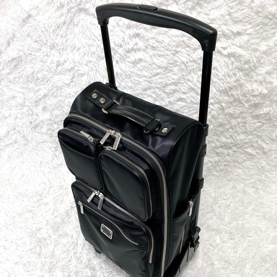 SWANY　キャリーバッグ　20L　座面付き　イス付き　光沢有り　四輪キャスター