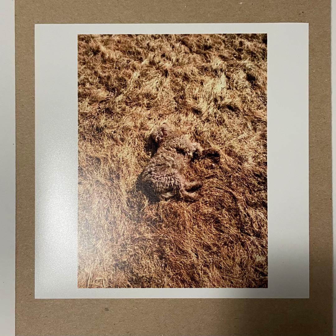 アレック・ソス プリント 直筆サイン入り マグナムフォト