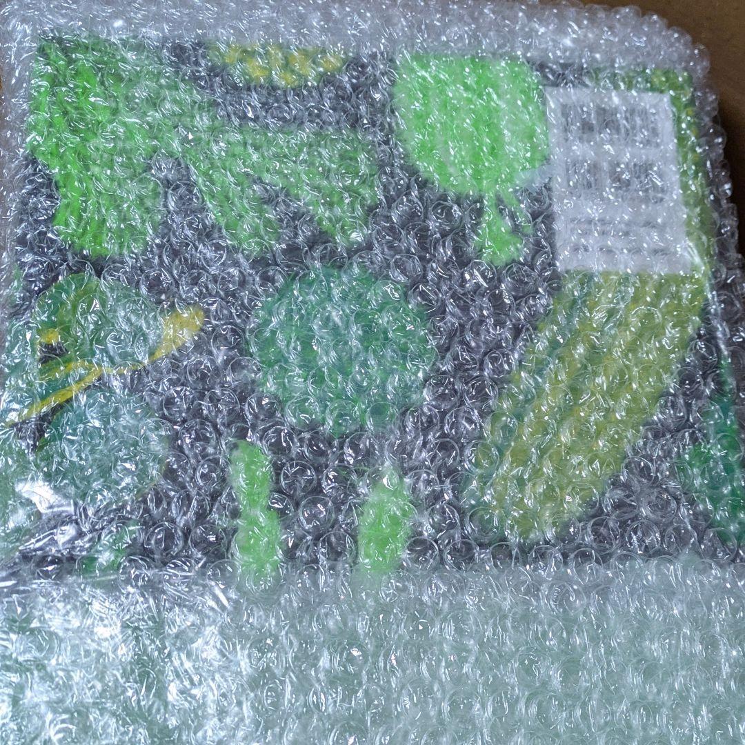 サボテン全書 All about CACTUS