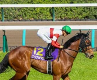 JRA 【 競馬実ゼッケン】 G1皐月賞 ダノンタッチダウン号 川田将雅J