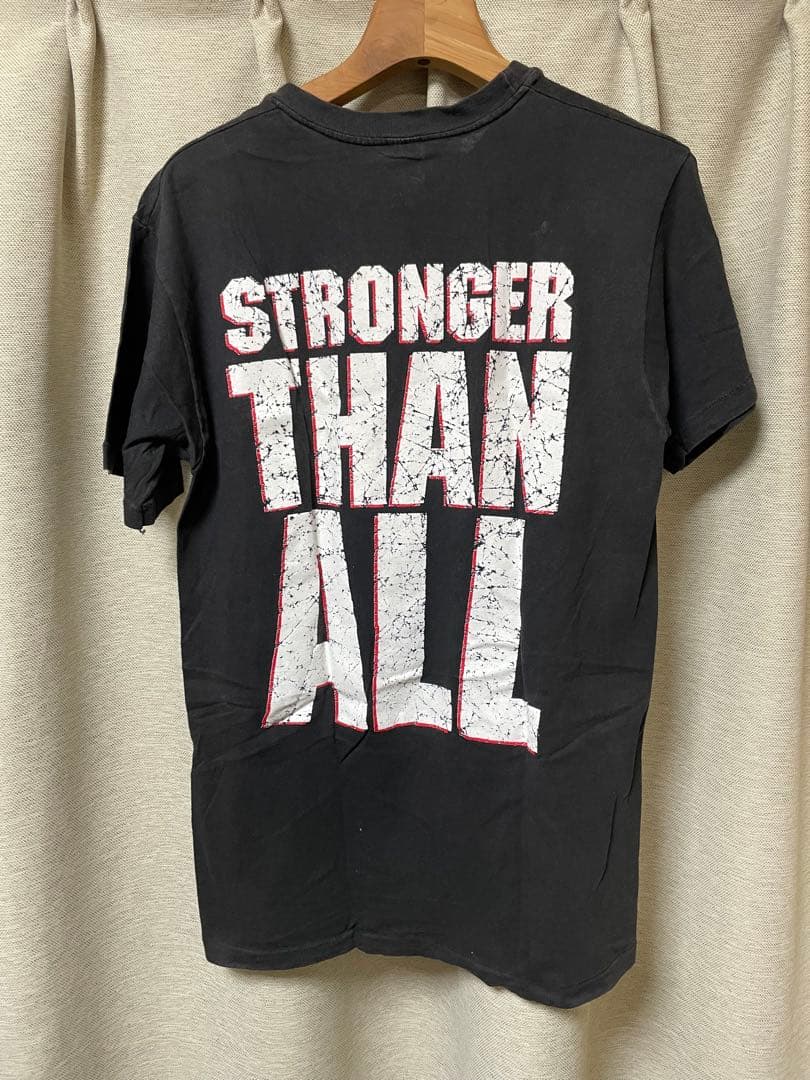 PANTERA ヴィンテージTシャツ Lサイズ