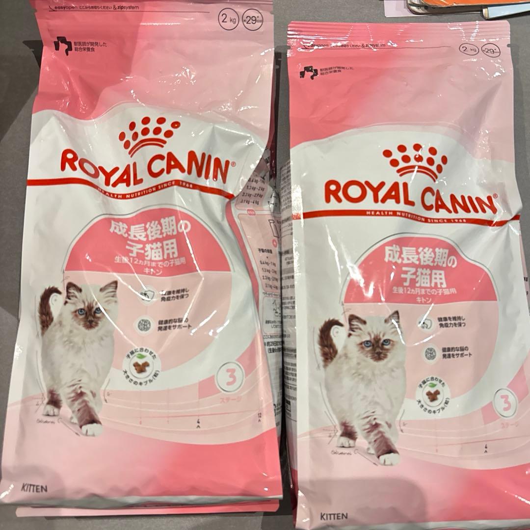  CANIN 子猫用ドライフード 2kg × 2個セット