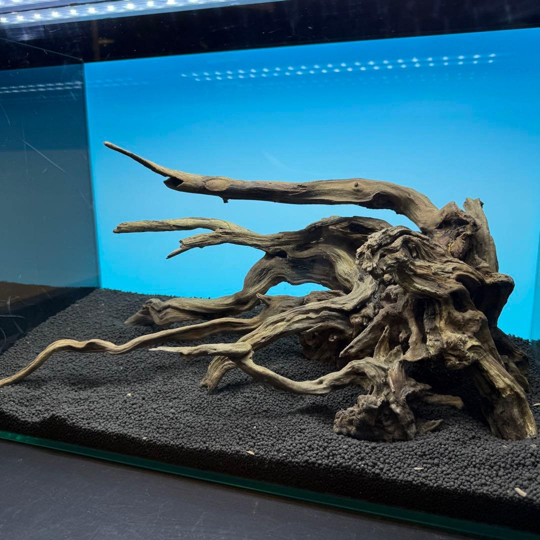 MSRW-6813 スリムウッドレイアウトセット　60cm水槽用流木アクアリウム