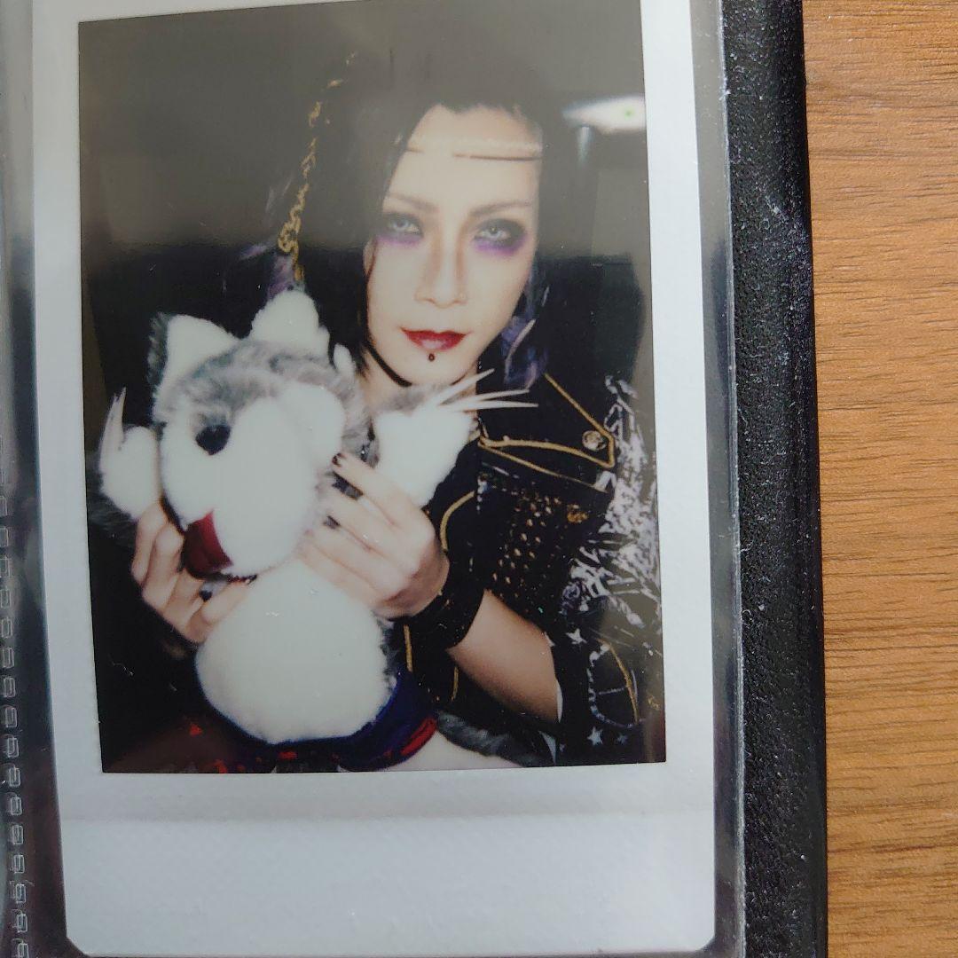 コドモドラゴン　チェキ　No.1（97枚セット）ばら売り可（コドモ専用ケース入）