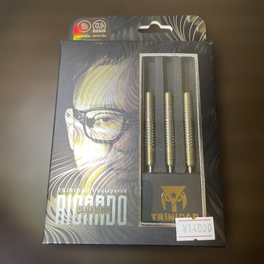 【TRiNiDAD】リカルド STEEL 22g 浅田斉吾選手モデル