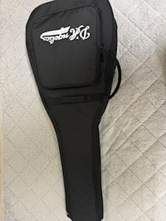 ギター D'Angelico Premier Series SS