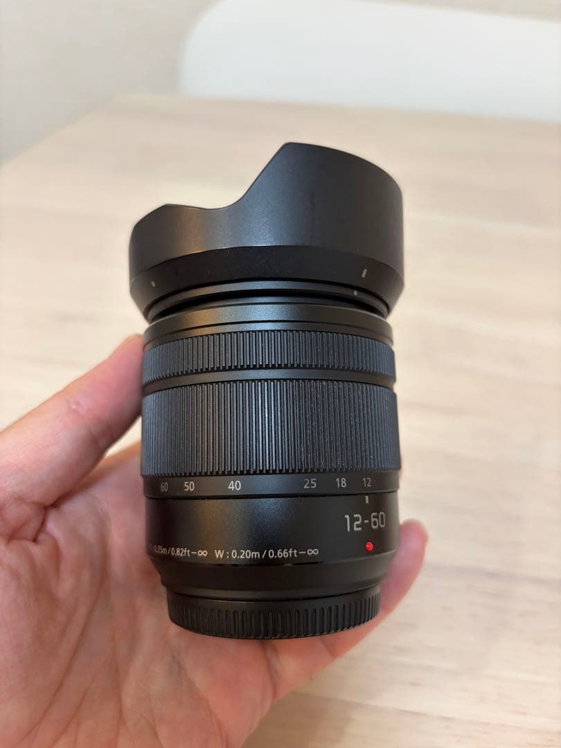 レンズ(ズーム) Panasonic 12-60mm G vario 1:3.5-5.6