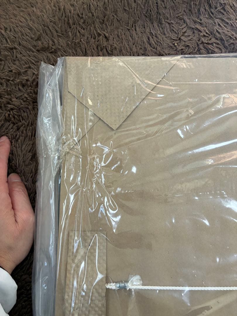 尾形光琳の郡鶴図