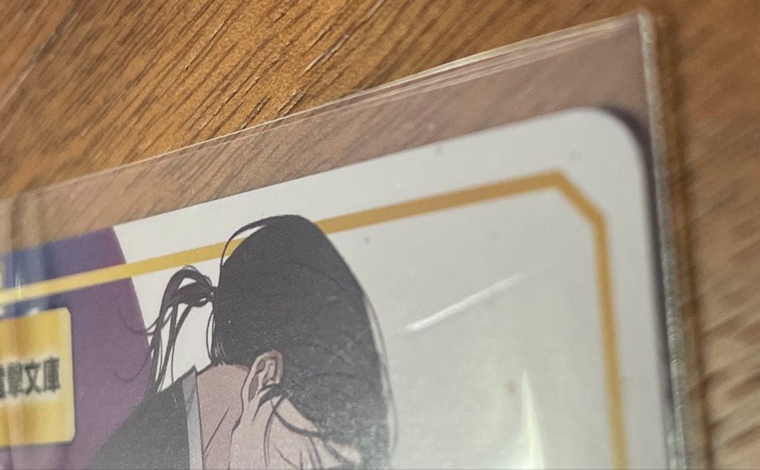 【匿名配送】春夏秋冬代行者 暁の射手 小説＆特典セット