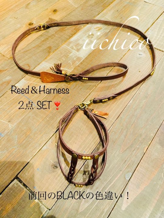 犬用　リード＆ハーネス　【本革】ブラウンSTUTS 2点 SET❣️