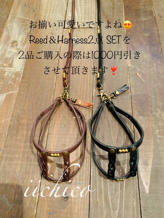 犬用　リード＆ハーネス　【本革】ブラウンSTUTS 2点 SET❣️