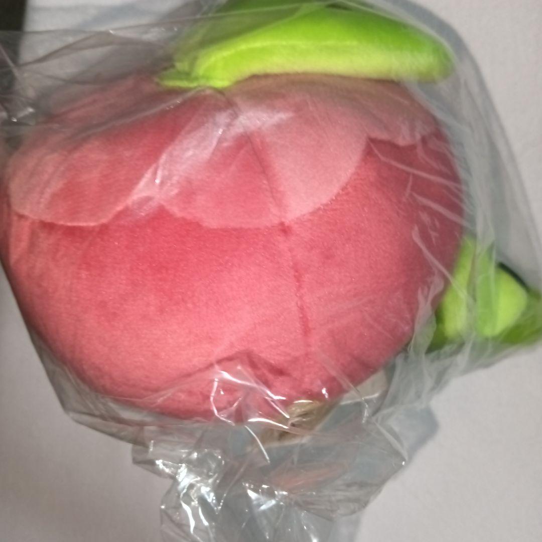 カジッチュぬいぐるみ ポケモンセンター 新品・未開封