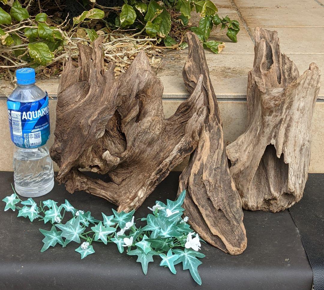 KKページ（10本+4セット）