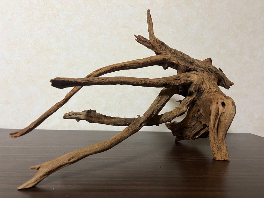 175 流木　ホーンウッド　マシンガンウッド　アクアリウム　ブランチウッド