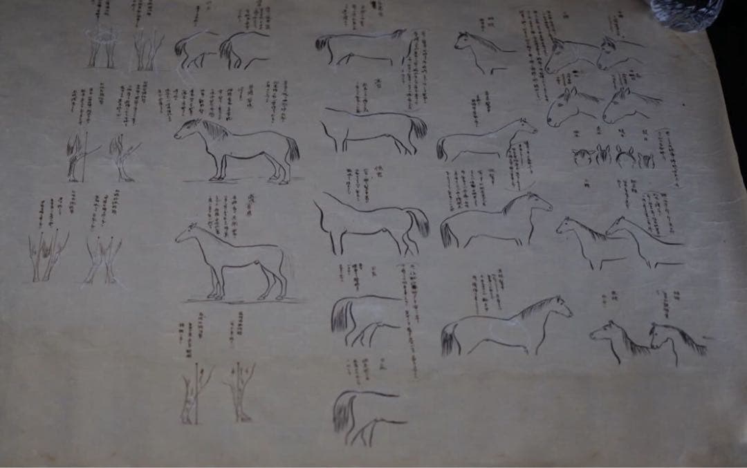 時代 馬学 巻物 まくり 4枚 和本 墨書 馬医書 馬療図 古文書 資料 戦前