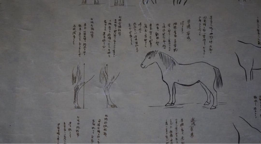 時代 馬学 巻物 まくり 4枚 和本 墨書 馬医書 馬療図 古文書 資料 戦前